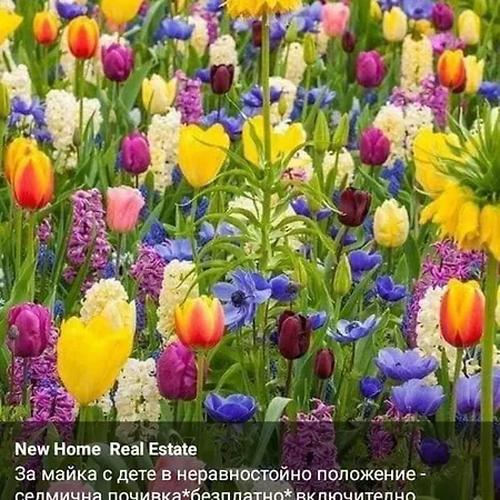 The Center Comfort 3 Lägenhet